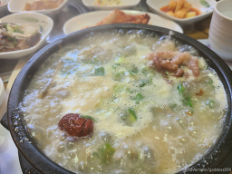 전원 5