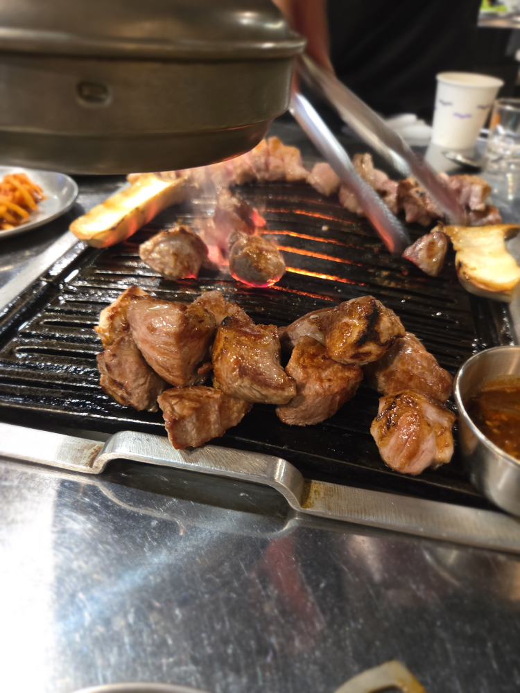 월고집 사진 5