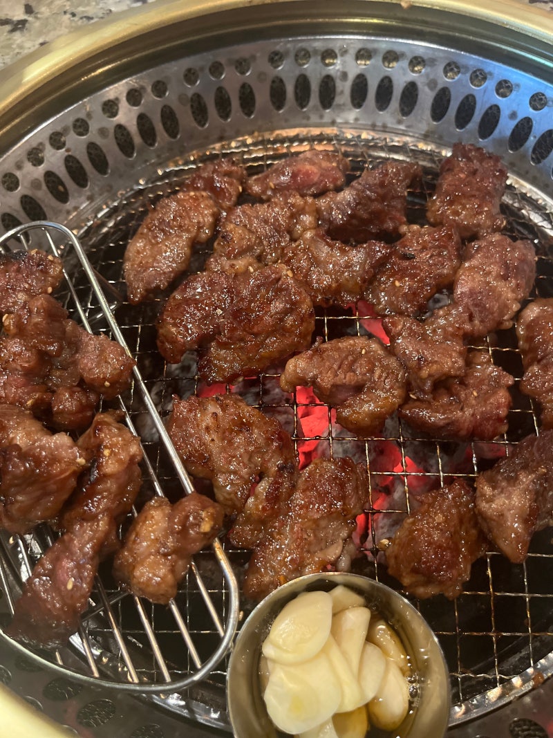 고고기 1