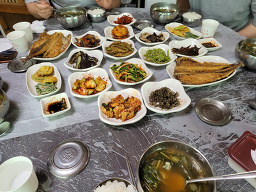 민들레 4