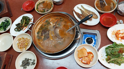 금성하우스 5