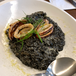 조우 사진 7
