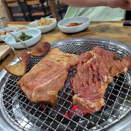 고마루 사진 3