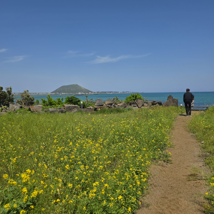 성산봄죽칼국수 성산점 사진 3