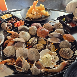 우아한조개 4