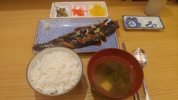 킨파 대표 사진