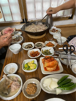 마당에서 1