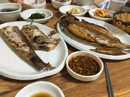 굼터 5