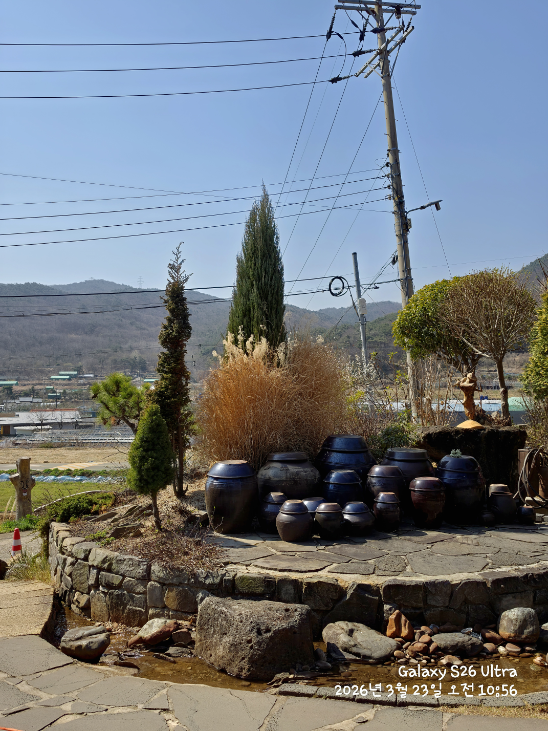 Kape doraji (카페 도라지) 2