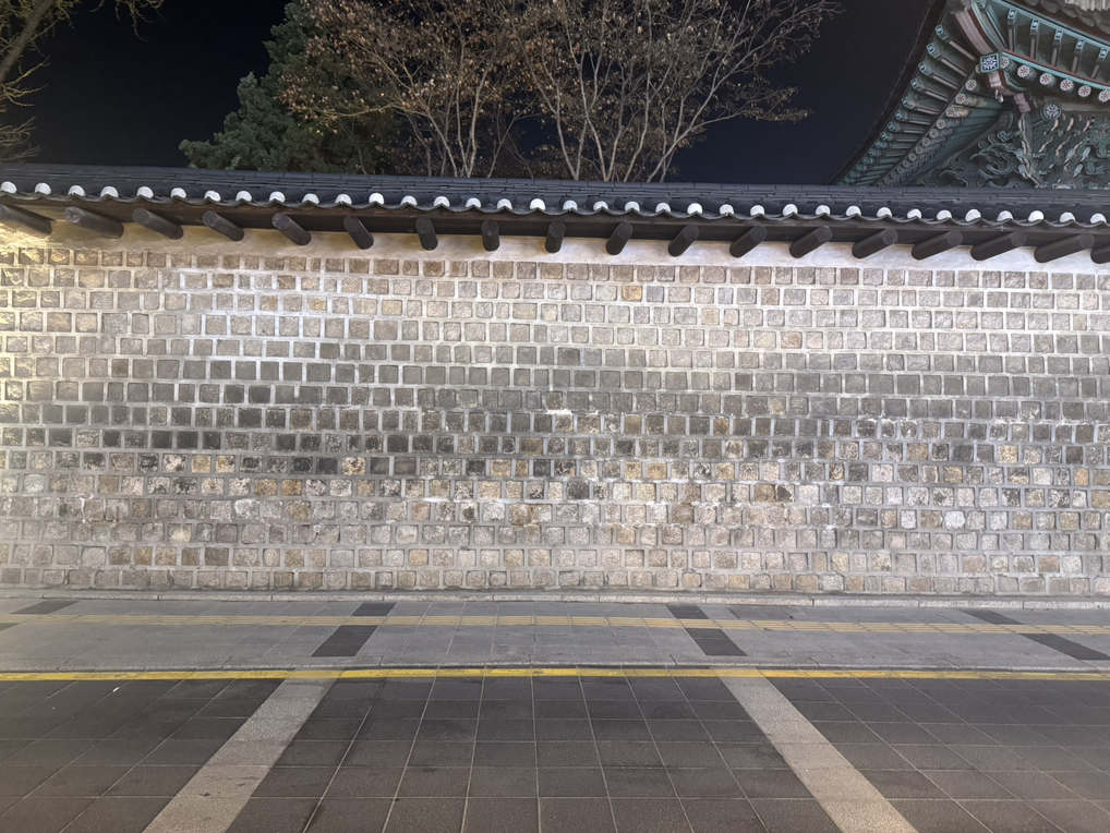 설품 사진 4