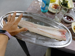 싱싱참숯장어 6