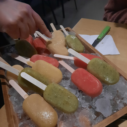 팔마 사진 7