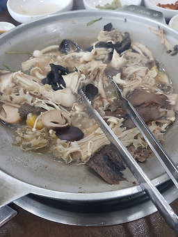 산들애 4