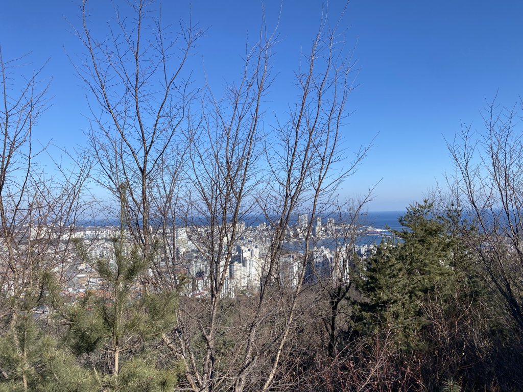 청대산