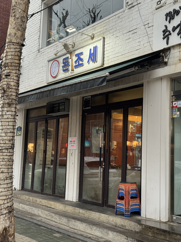 돈조세 사진 2