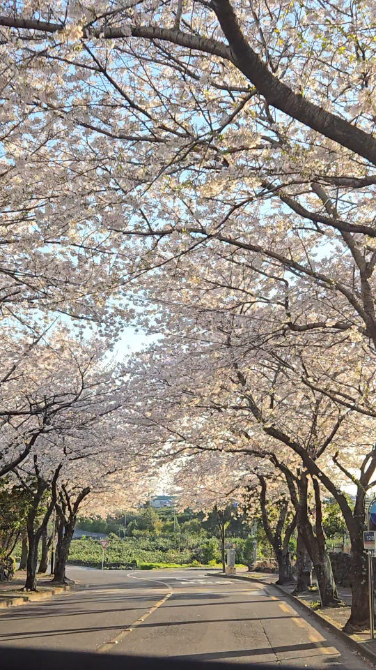 더아지트예래 대표 사진