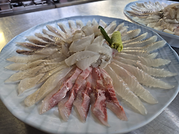 동해안횟집 1