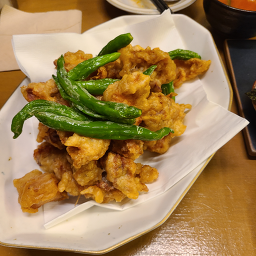 이층완우 사진 5