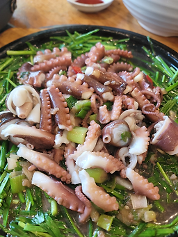 해남낙지 4