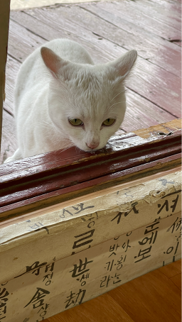 명가 1