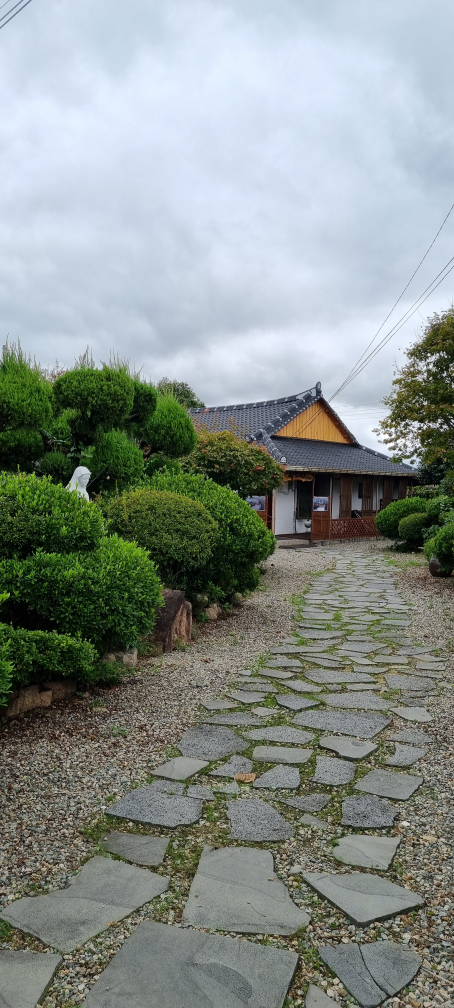 왕벚165 6