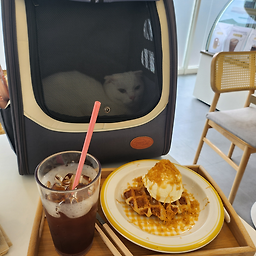 올댕커피