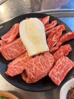 하누돈 실비 2
