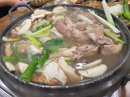 약초마을 사진 3