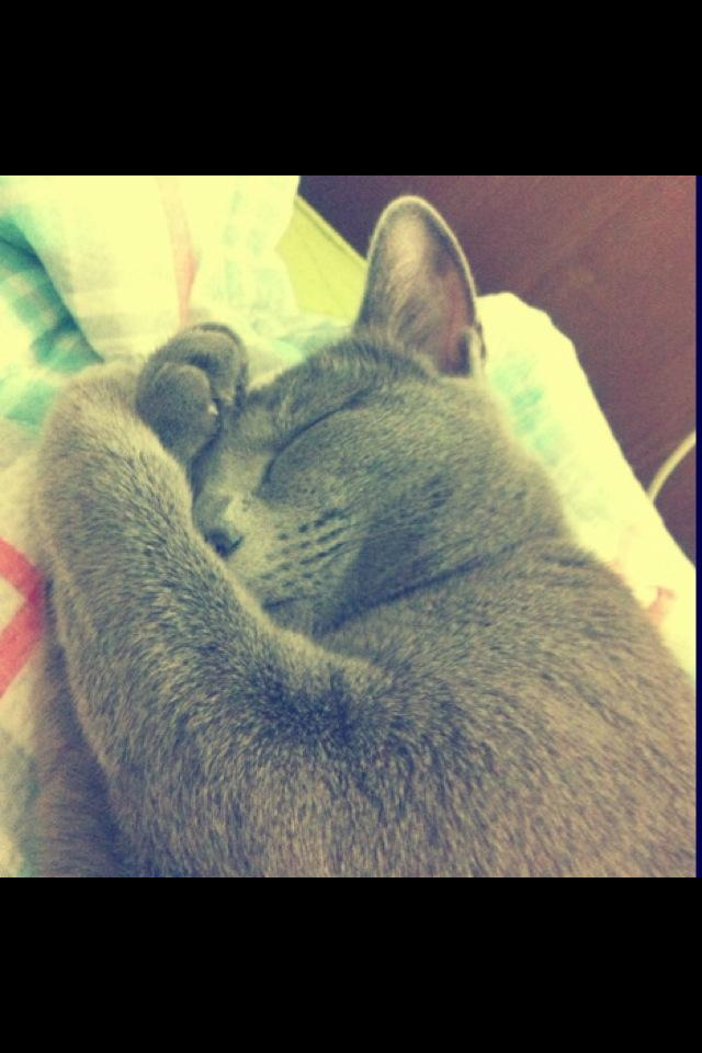 Hapcheonhoetjip 5