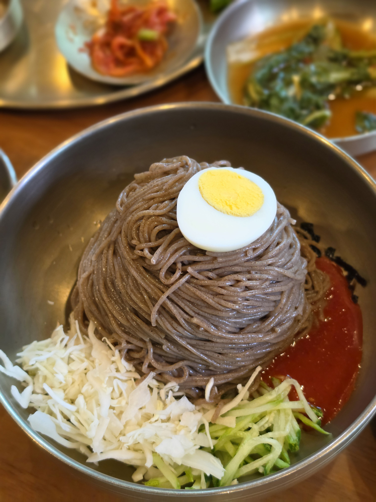 Salgusilmakguksu (살구실막국수) 1