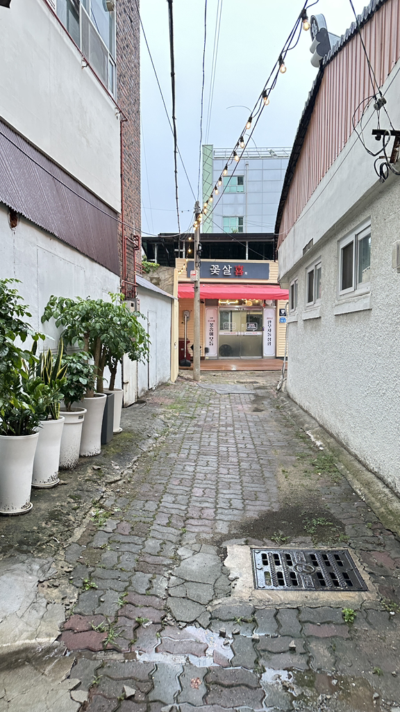 꽃살희 3
