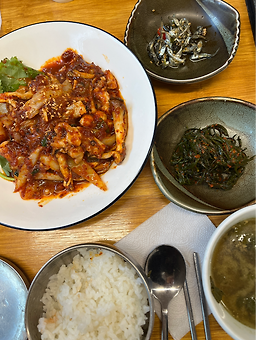 벽오동 사진 5