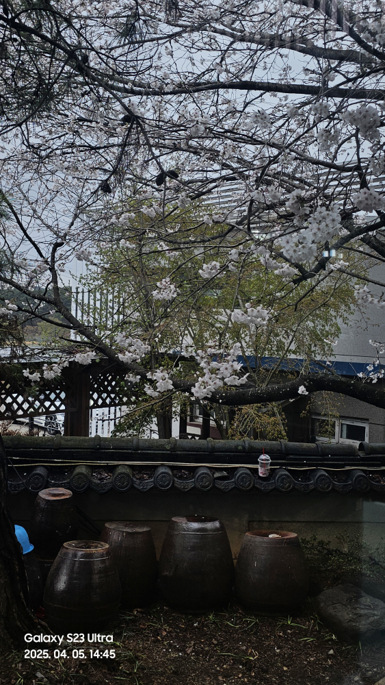 Daega (대가) 2