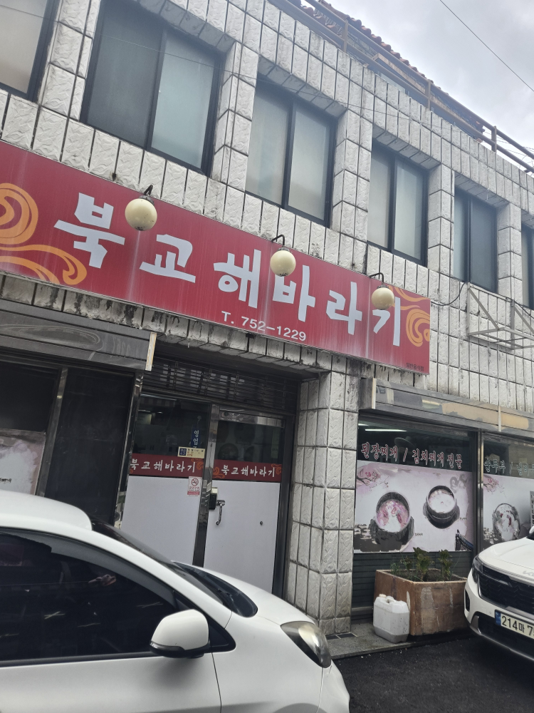 북교해바라기 사진 2