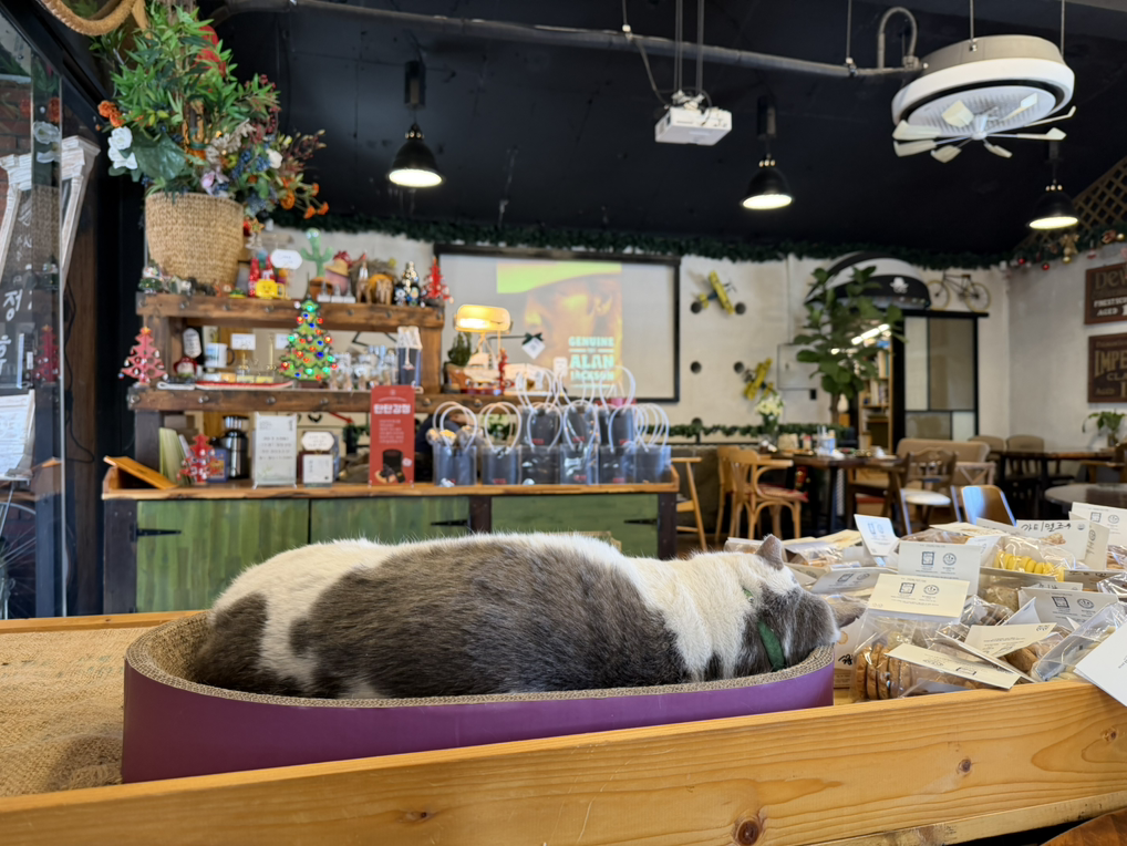 강남사장 3