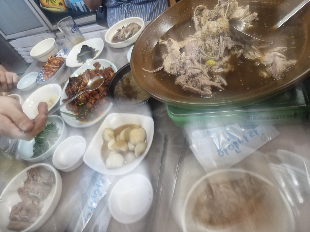 허가네산약초오리 3