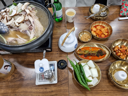 약초마을 사진 2