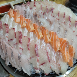 강남보물섬 사진 6