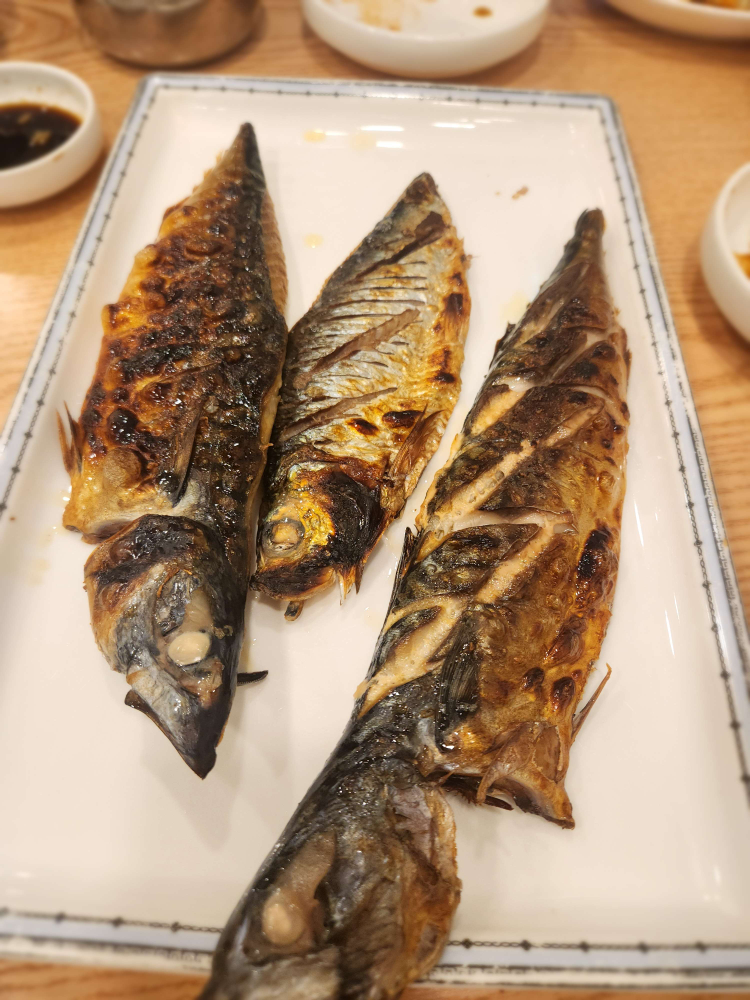 어다미 사진 3