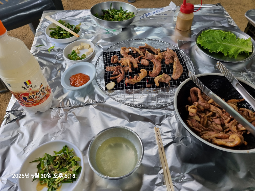 Jinmiorisutbulgogi (진미오리숯불고기) 1
