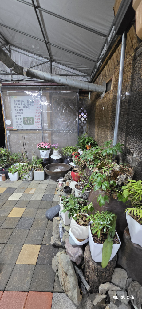 Jangreungbongaori (장릉본가오리) 1