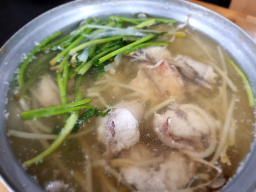 바다복어 2
