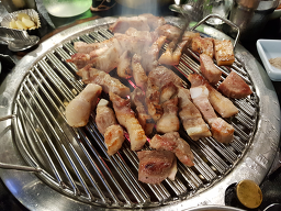 통통돼지 사진 2