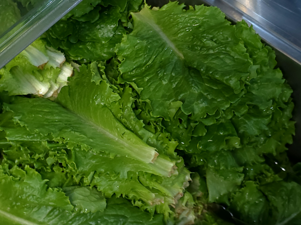 마루정 2