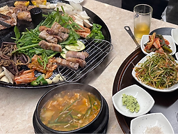 지피다 사진 2