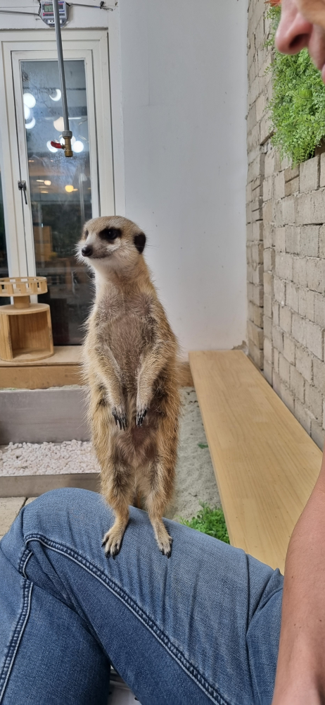 ZOO민센터