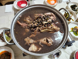 수목원 3