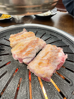 도니본가 5