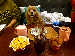 Naneunkape (나는카페) 3