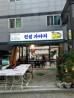 진성가야지 사진 7